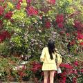 user-img-123